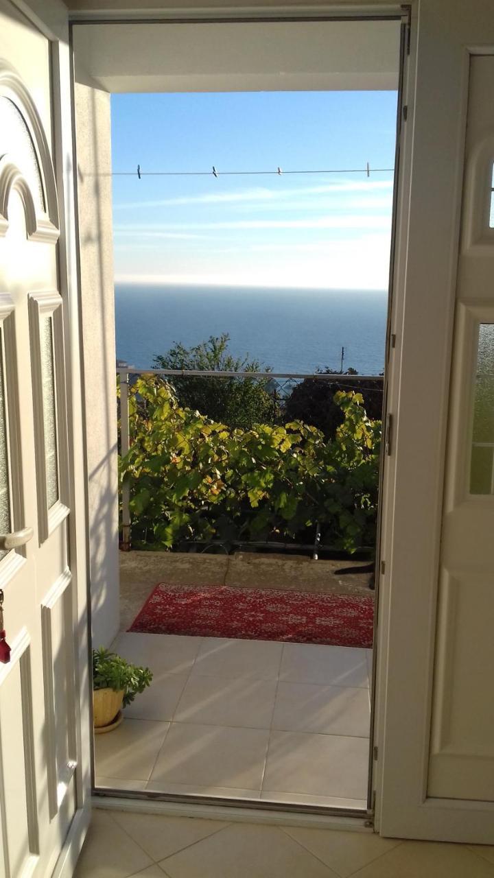 Apartment Vuk I Novak Ulcinj Exterior photo